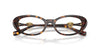 Versace VE3381U Havana #colour_havana