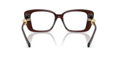 Versace VE3385U Transparent Brown #colour_transparent-brown