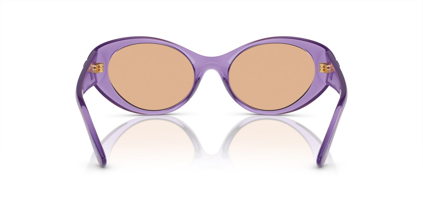 Versace VE4455U Purple Transparent/Dark Brown #colour_purple-transparent-dark-brown