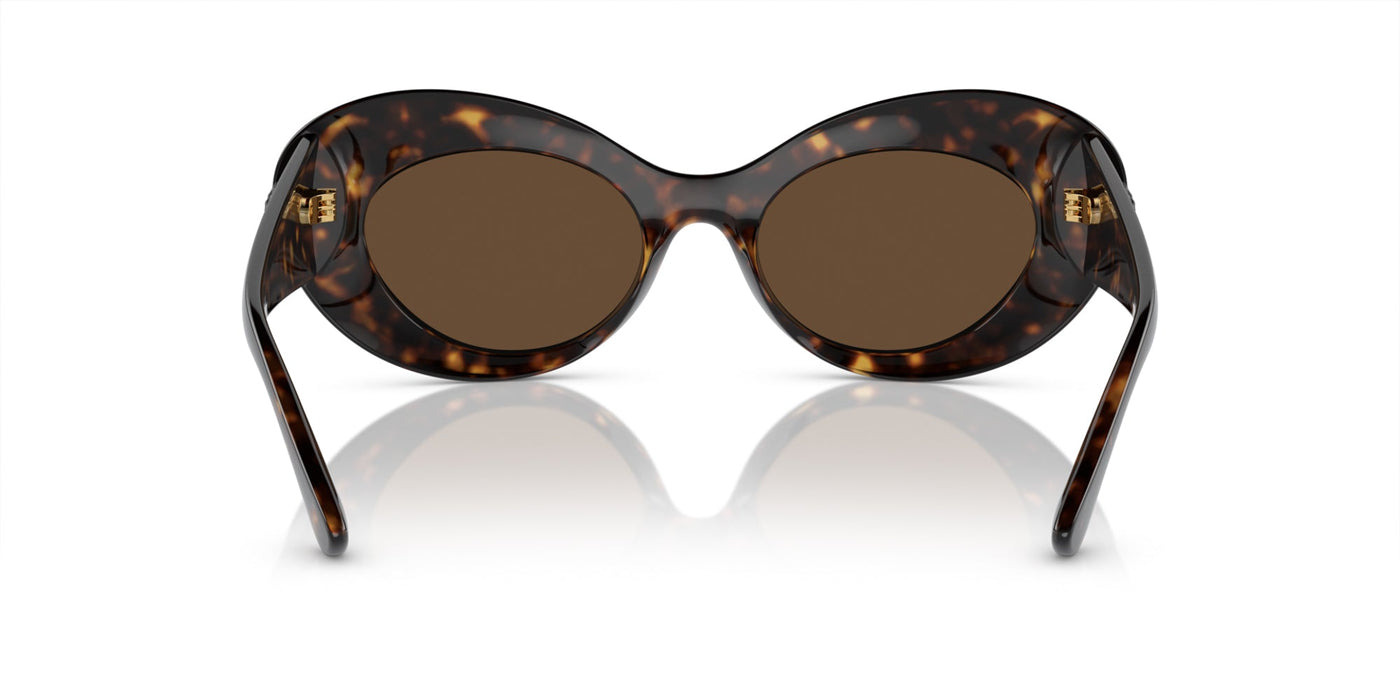 Versace VE4456U Havana/Dark Brown #colour_havana-dark-brown