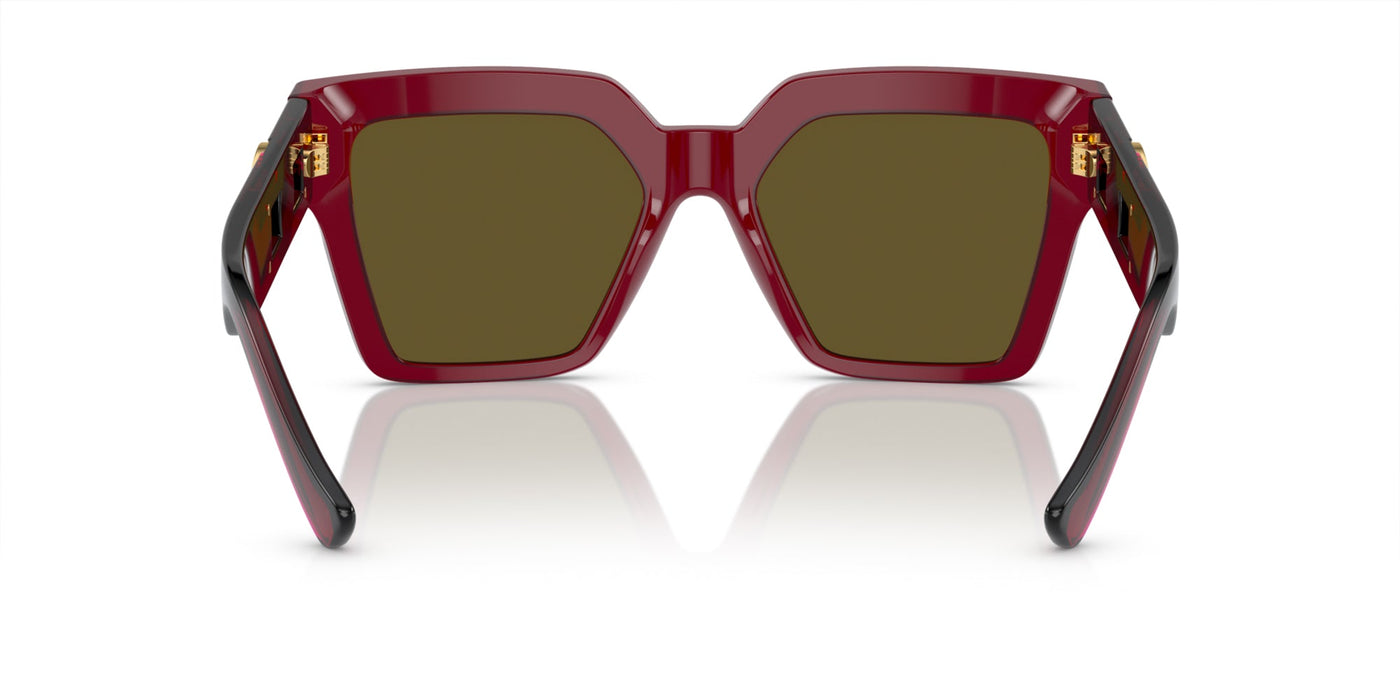 Versace VE4458 Bordeaux/Dark Brown #colour_bordeaux-dark-brown