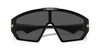 Versace VE4461 Black/Dark Grey Gold Mirror #colour_black-dark-grey-gold-mirror