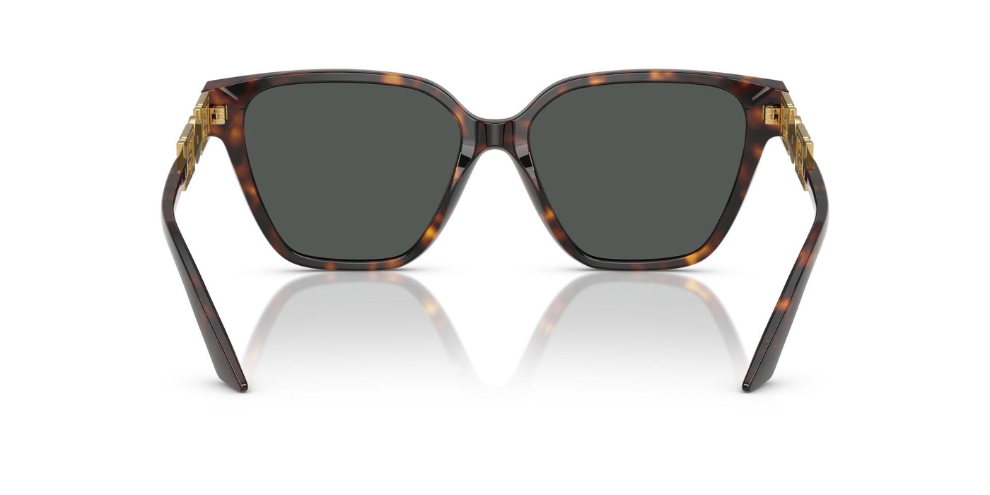 Versace VE4471B Havana/Dark Grey #colour_havana-dark-grey