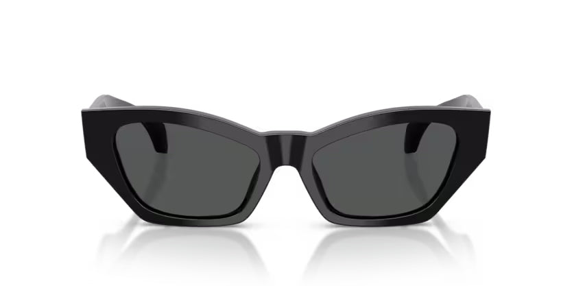 Versace 4488U Cat Eye Sunglasses | Fashion Eyewear display picture 2