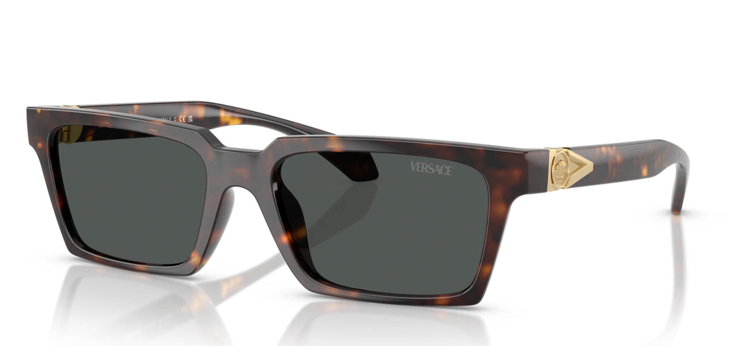 0VE4490U__108_87__P21__shad__q