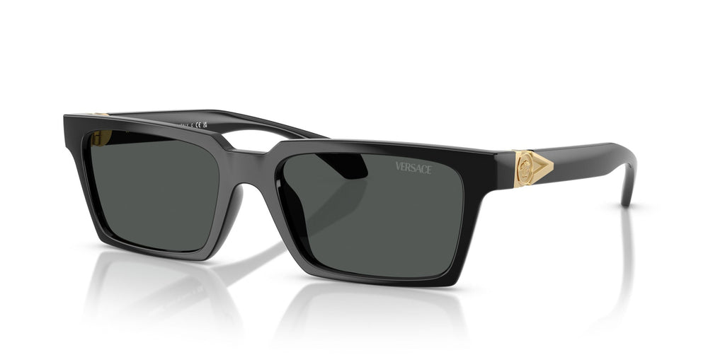 Versace VE4490U Black/Dark Grey #colour_black-dark-grey