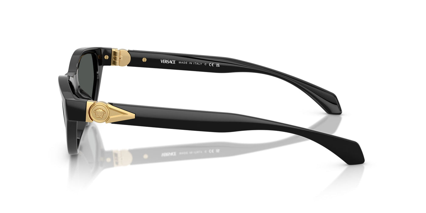 Versace VE4491U Black/Dark Grey #colour_black-dark-grey