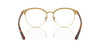 Vogue Eyewear VO4305 Top Havana-Gold #colour_top-havana-gold