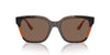 Vogue Eyewear VO5558S Havana/Transparent Brown Glitter/Dark Brown #colour_havana-transparent-brown-glitter-dark-brown