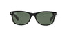 Ray-Ban New Wayfarer RB2132 Black/Green 2 #colour_black-green-2