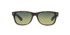 Ray-Ban New Wayfarer RB2132 Dark Tortoise/Green 1 #colour_dark-tortoise-green-1