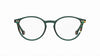 #colour_green-havana