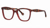 #colour_burgundy-havana