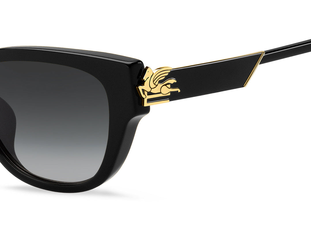 ETRO 0063/F/S Cat Eye Sunglasses | Fashion Eyewear US