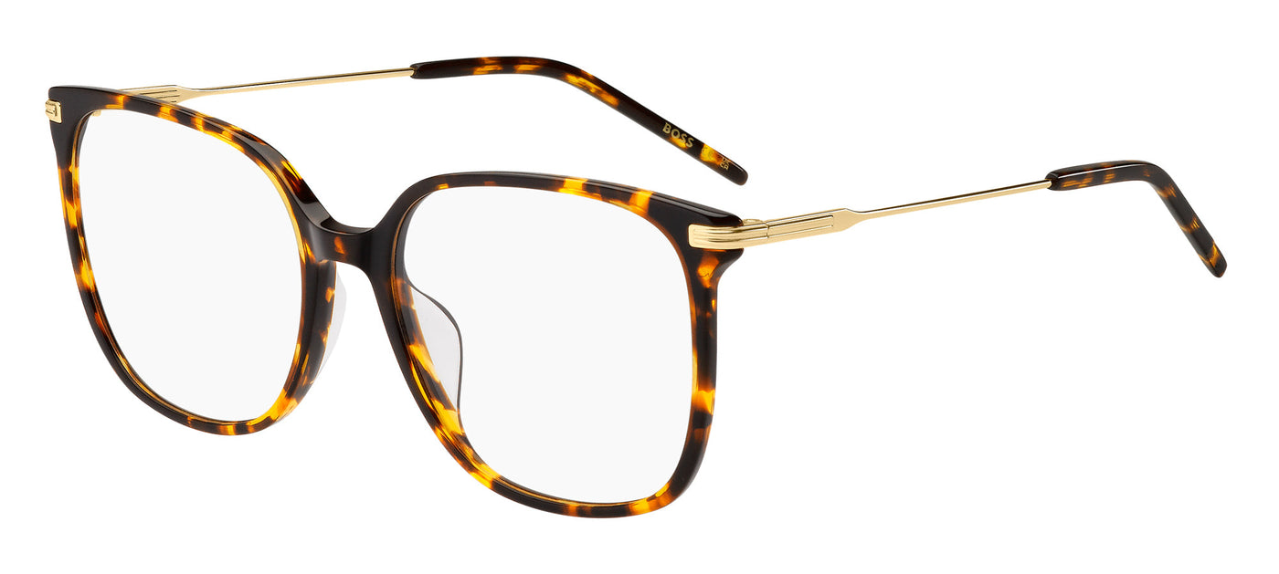 Boss 1736/G Brown Havana Gold #colour_brown-havana-gold