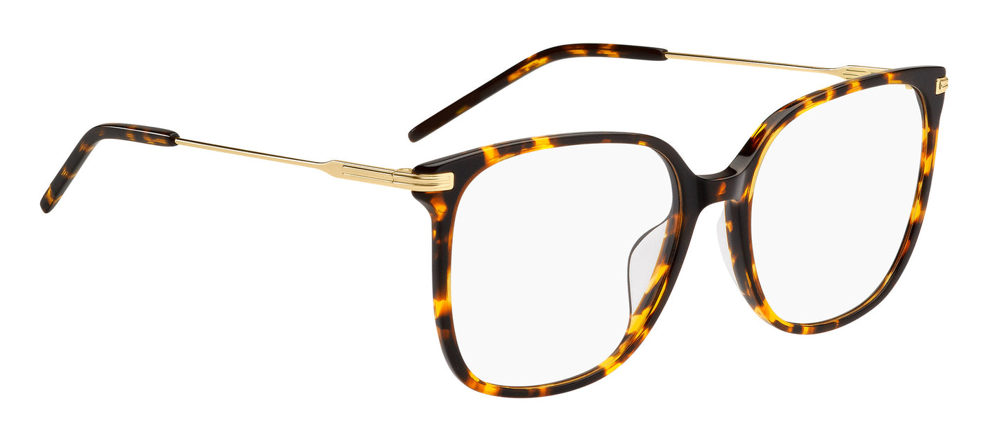 Boss 1736/G Brown Havana Gold #colour_brown-havana-gold