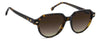 Carrera 3068/S Havana/Brown Gradient #colour_havana-brown-gradient
