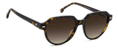 Carrera 3068/S Havana/Brown Gradient #colour_havana-brown-gradient