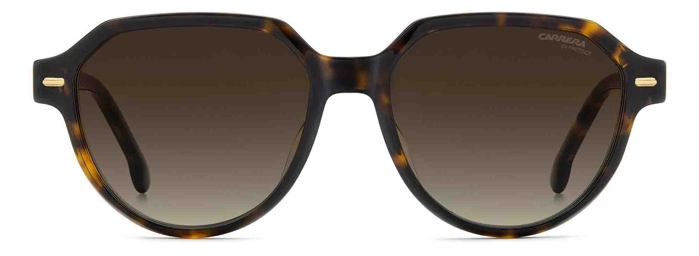 Carrera 3068/S Havana/Brown Gradient #colour_havana-brown-gradient