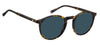 Tommy Hilfiger TH2267/S Havana/Blue #colour_havana-blue