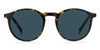 Tommy Hilfiger TH2267/S Havana/Blue #colour_havana-blue