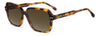 Isabel Marant IM 0242/S Havana/Brown Gradient #colour_havana-brown-gradient