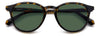 Polaroid PLD 4191/S Havana/Green Polarised #colour_havana-green-polarised