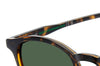 Polaroid PLD 4191/S Havana/Green Polarised #colour_havana-green-polarised