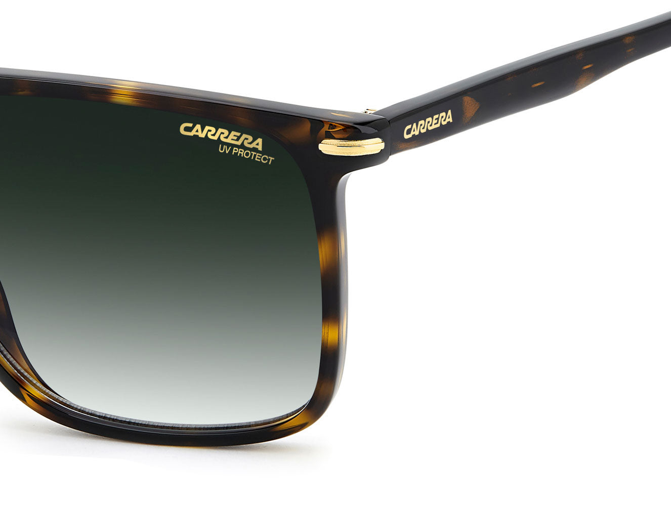 Carrera 366/S Havana/Green Gradient #colour_havana-green-gradient