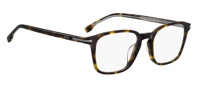 Boss 1848/G Havana #colour_havana