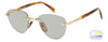 David Beckham DB1224/S #colour_gold-horn-green-photochromic