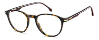Carrera 383 #colour_havana-brown