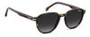 Carrera 376/S #colour_havana-brown-dark-grey-gradient