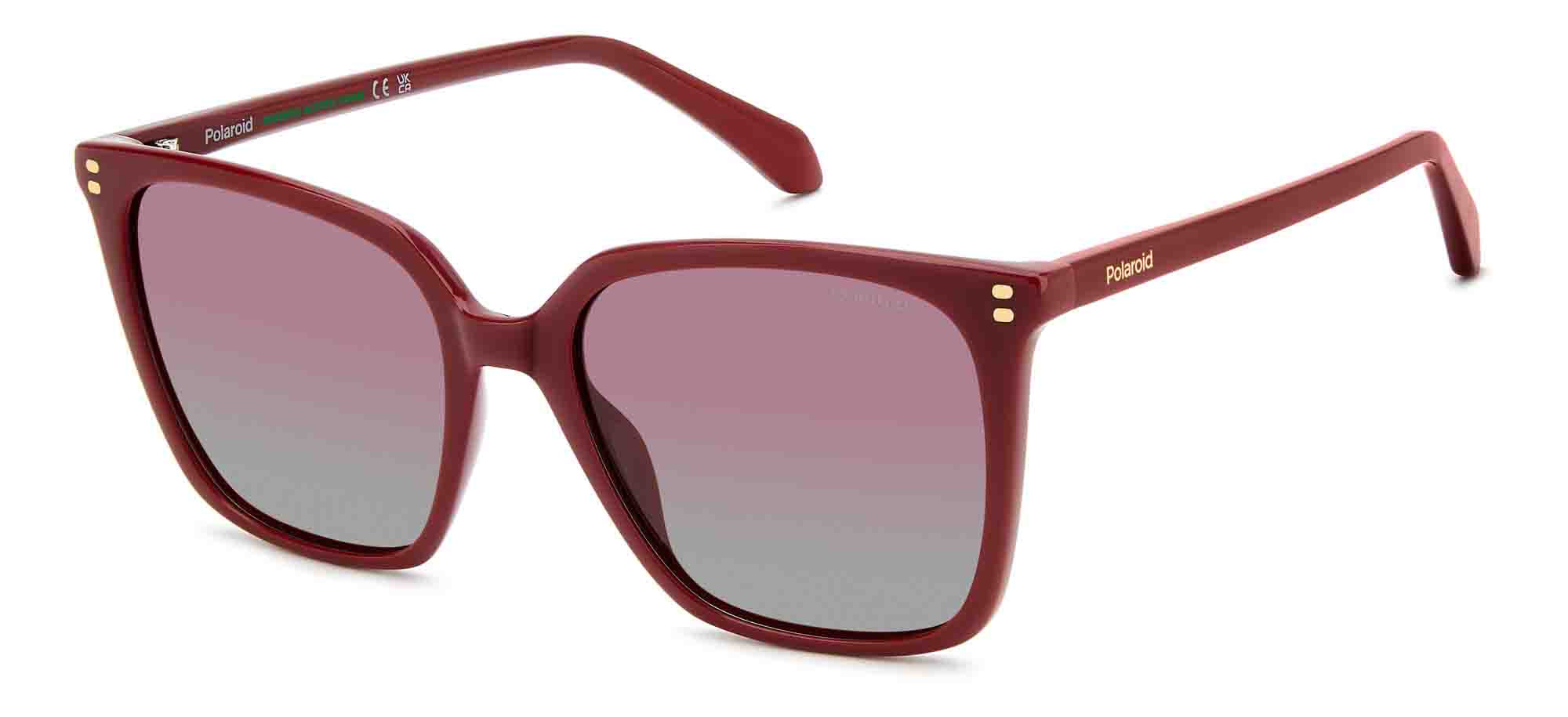 Polaroid PLD 4201/S/X Cat Eye Sunglasses | Fashion Eyewear US