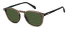 Polaroid PLD 4203/S/X #colour_brown-green-polarised