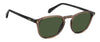 Polaroid PLD 4203/S/X #colour_brown-green-polarised