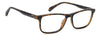 Polaroid PLD D598 #colour_havana-brown
