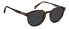 Polaroid PLD 4195/S #colour_havana-brown-grey-polarised