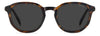 Polaroid PLD 4195/S #colour_havana-brown-grey-polarised