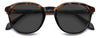 Polaroid PLD 4195/S #colour_havana-brown-grey-polarised
