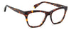 Prive Revaux PR1018 #colour_havana-brown