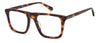 Prive Revaux PR1022/G #colour_havana
