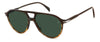 David Beckham DB 1218/S#colour_brown horn/green