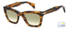 David Beckham DB 99/MIAMI/SE#colour_brown horn/green gradient photochromic