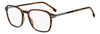 Boss 2010#colour_brown horn