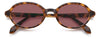 Polaroid PLD 4220/S#colour_havana brown/violet polarised