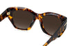 #colour_havana-brown-brown-gradient