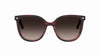 #colour_burgundy-horn-brown-gradient