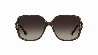 #colour_havana-brown-gradient