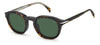 David Beckham DB1080/CS Havana #colour_havana